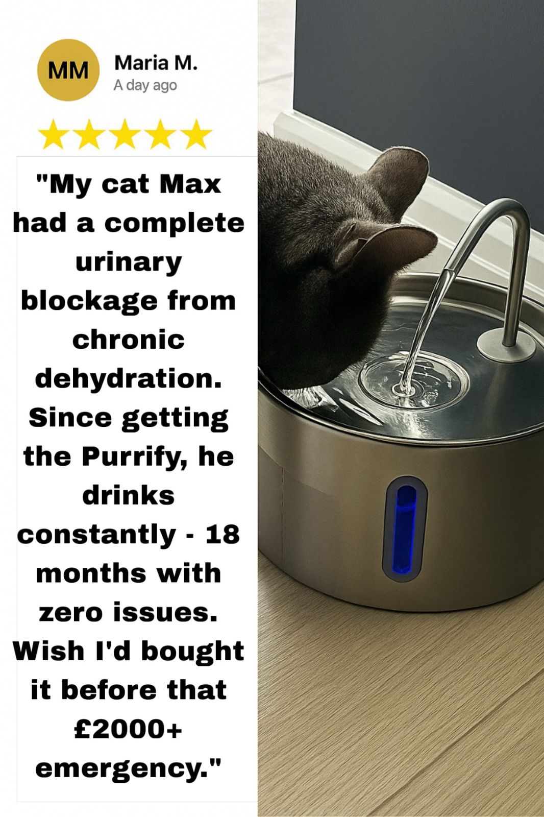 Protect your cat from dehydration and urinary emergencies with Trivo