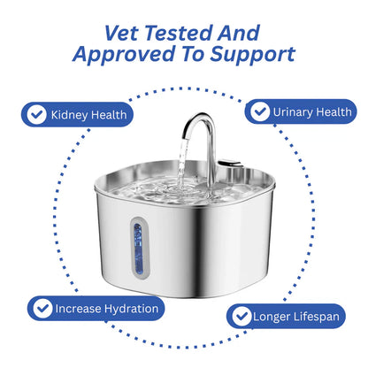 Protect your dog from dehydration and urinary emergencies with Trivo